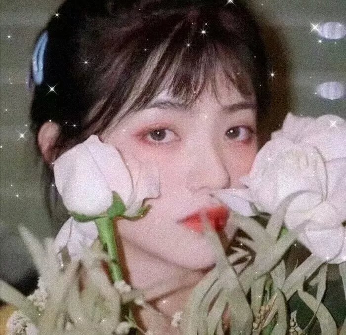 红牝